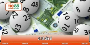 37 là còn gì