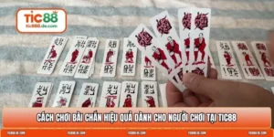 Cách chơi bài chắn
