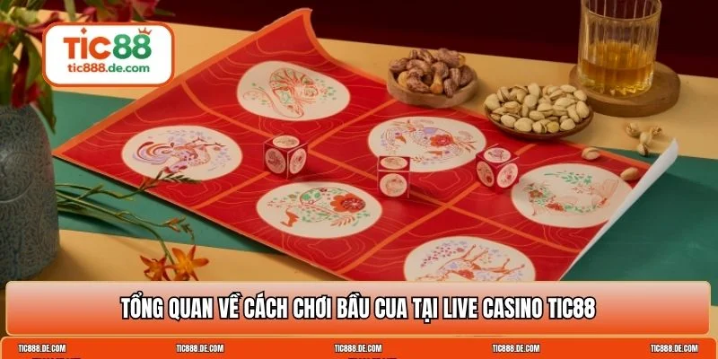 cách chơi bầu cua