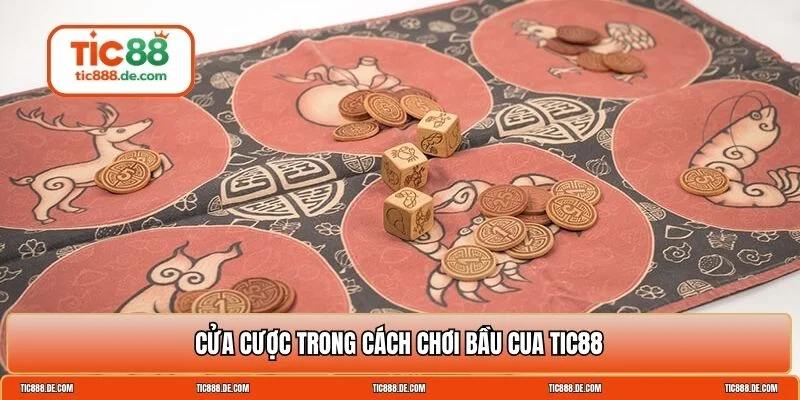 cách chơi bầu cua
