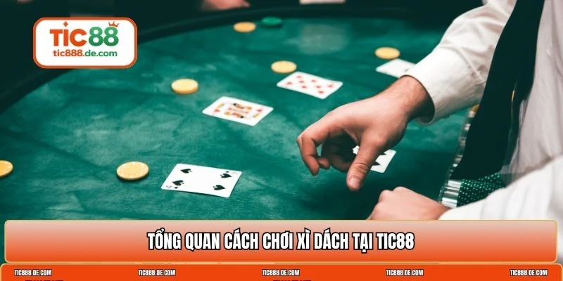 cách chơi xì dách