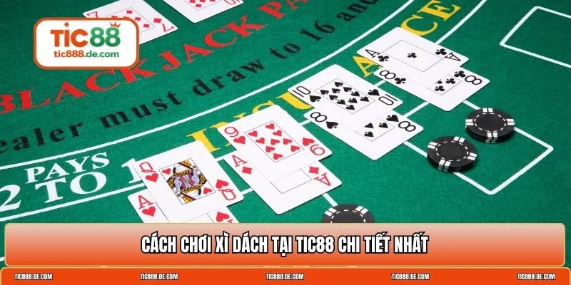 cách chơi xì dách