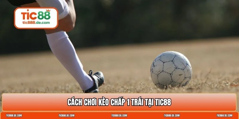 chấp 1 trái là sao