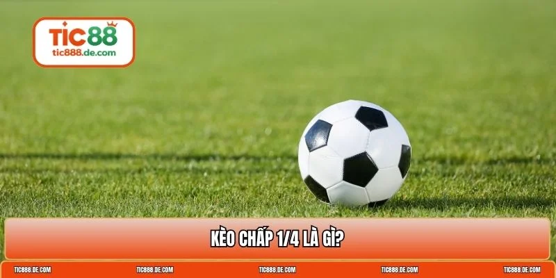 chấp 1/4 trái là sao