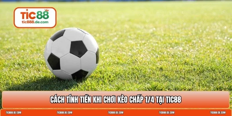 chấp 1/4 trái là sao