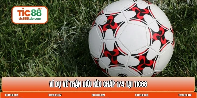 chấp 1/4 trái là sao