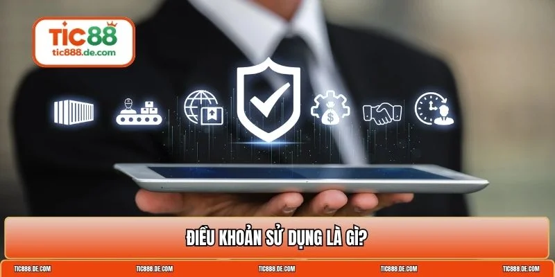 Điều khoản sử dụng