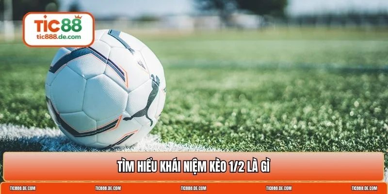 kèo 1/2 là gì