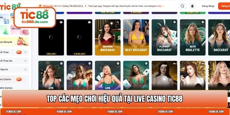 Live Casino TIC88